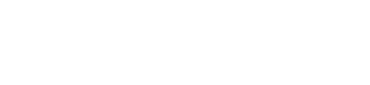 LEXESolutions-Logo-WHITE